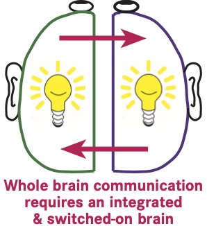Integrated brain function